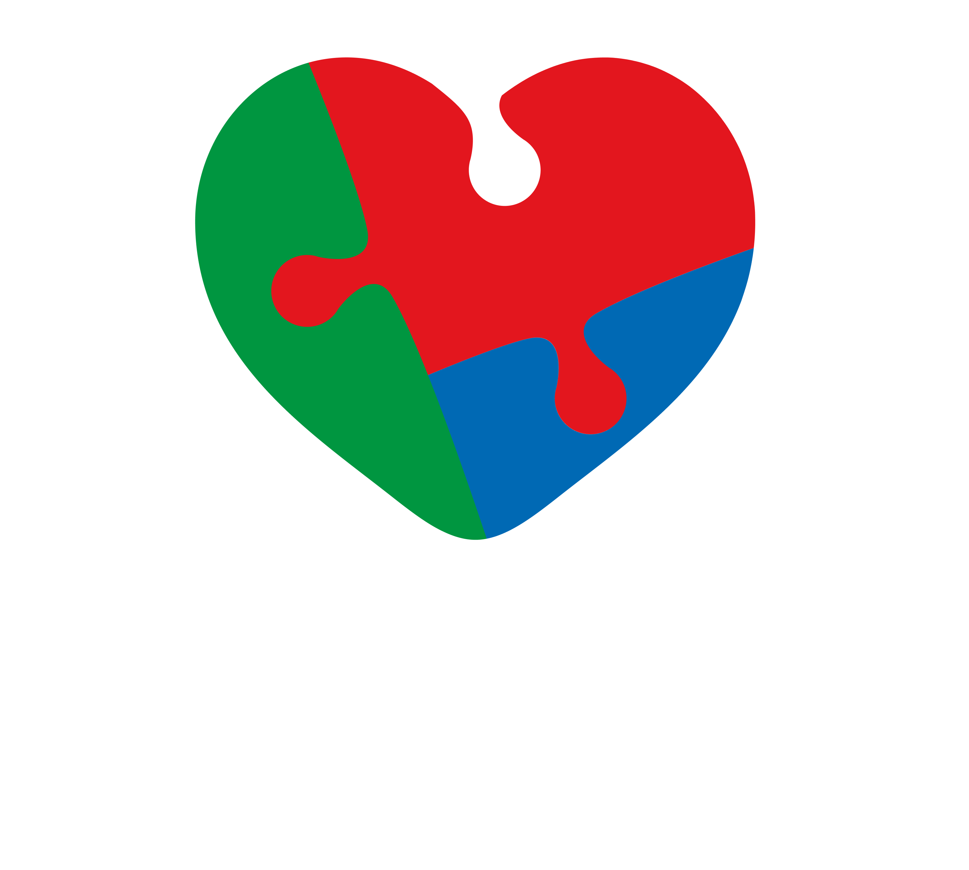 Instituto Vinícius Ian